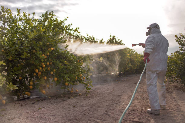  Centre, AL Pest Control Pros